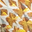 Mokume